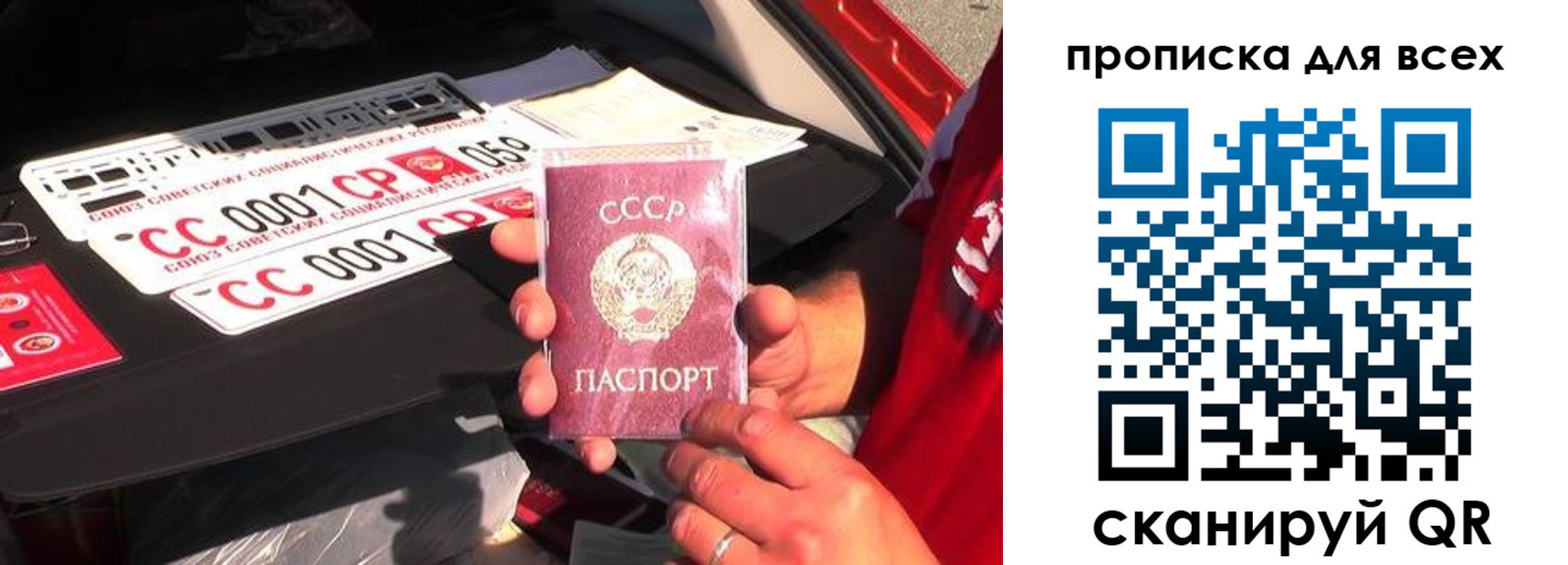 прописка для школы в Коркино
